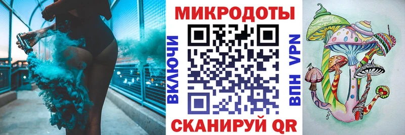 Купить закладки  Сунжа  Галлюциногенные грибы Psilocybe 